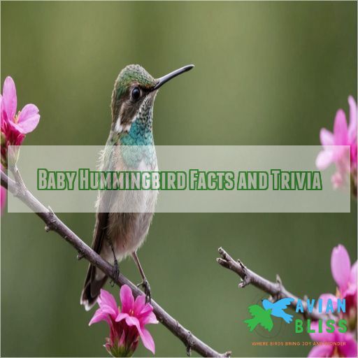 Baby Hummingbird Facts and Trivia