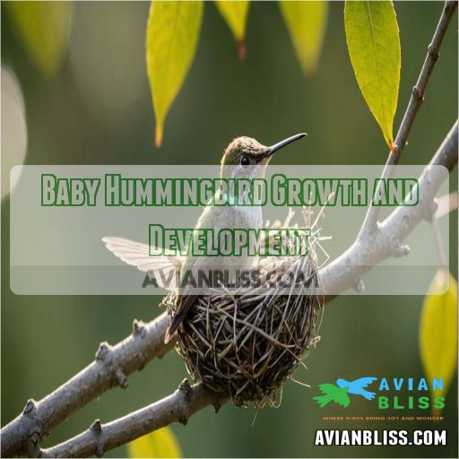 Baby Hummingbird Growth and Development