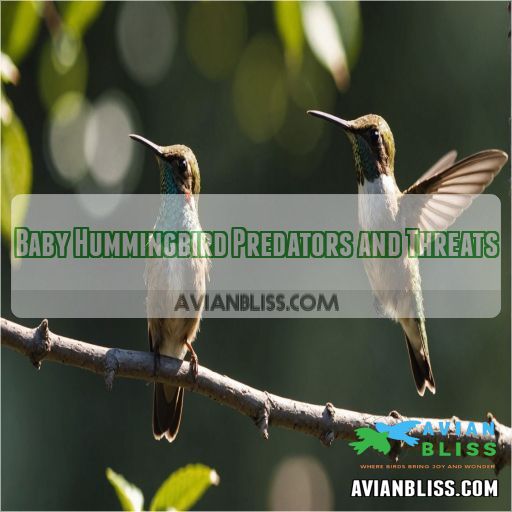 Baby Hummingbird Predators and Threats