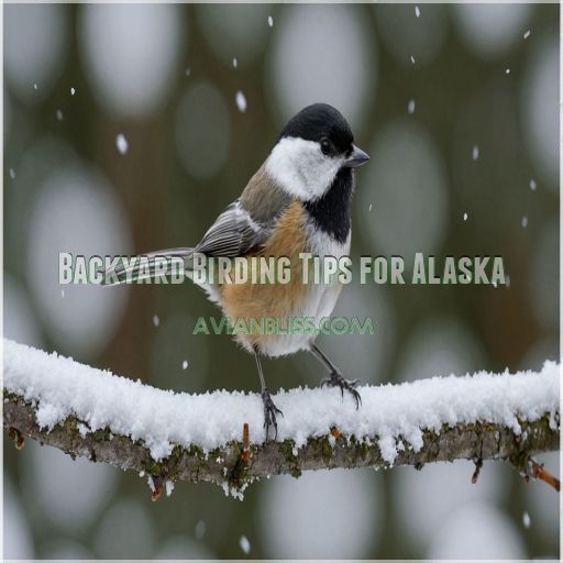 Backyard Birding Tips for Alaska