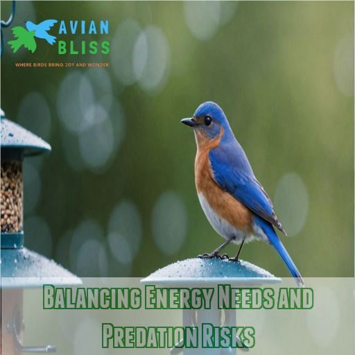 Balancing Energy Needs and Predation Risks