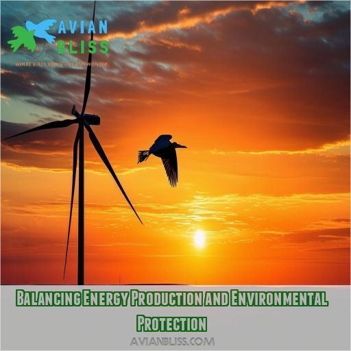 Balancing Energy Production and Environmental Protection