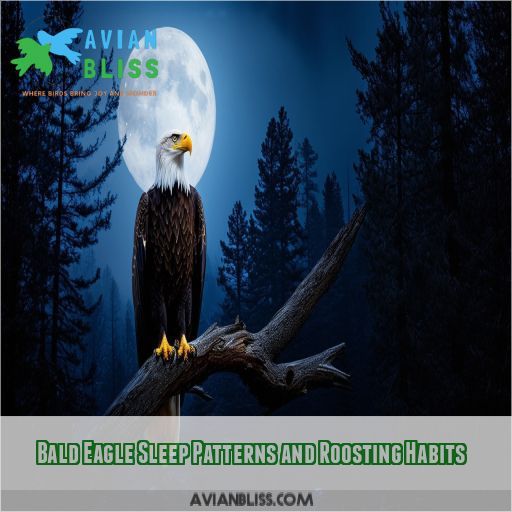 Bald Eagle Sleep Patterns and Roosting Habits