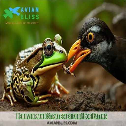 Behavior and Strategies for Frog Eating