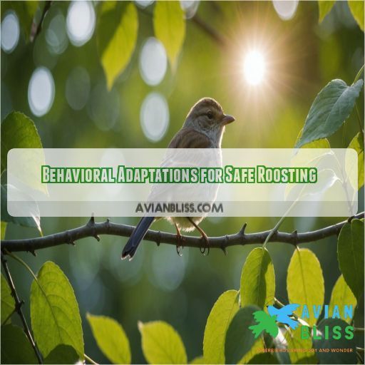 Behavioral Adaptations for Safe Roosting