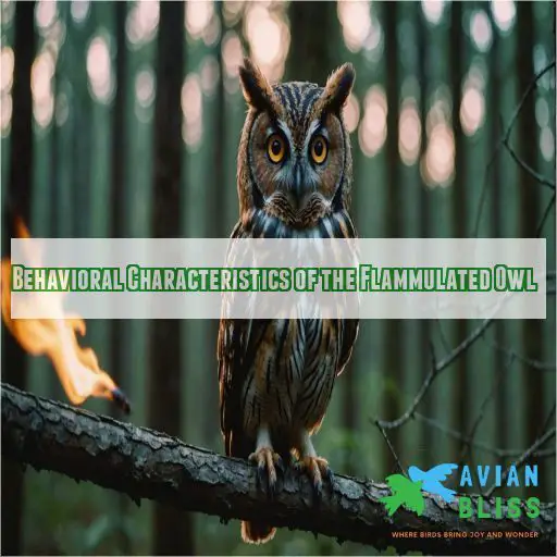 Behavioral Characteristics of the Flammulated Owl