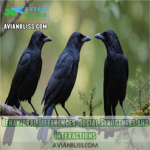 Behavioral Differences: Social Structures and Interactions