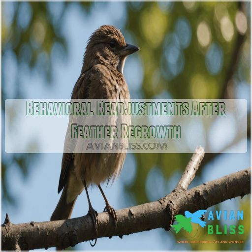 Behavioral Readjustments After Feather Regrowth