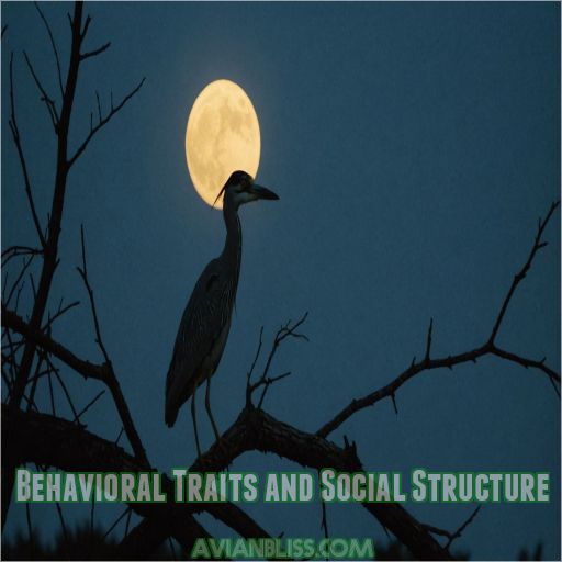 Behavioral Traits and Social Structure