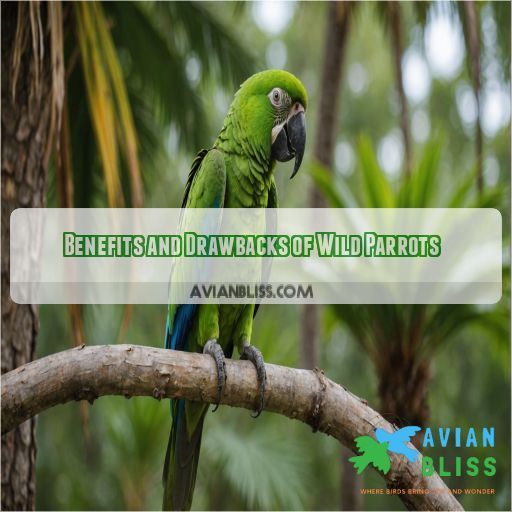 Benefits and Drawbacks of Wild Parrots