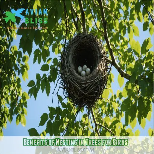 Benefits of Nesting in Trees for Birds