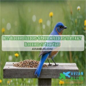 best bluebird feeders