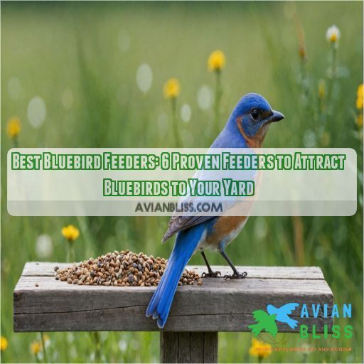 best bluebird feeders