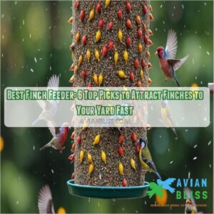 best finch feeder