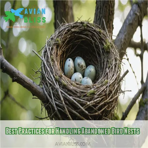 Best Practices for Handling Abandoned Bird Nests