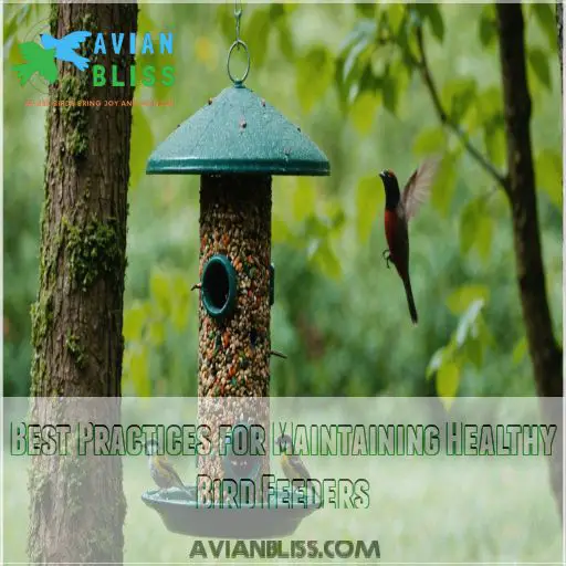 Best Practices for Maintaining Healthy Bird Feeders