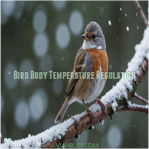 Bird Body Temperature Regulation