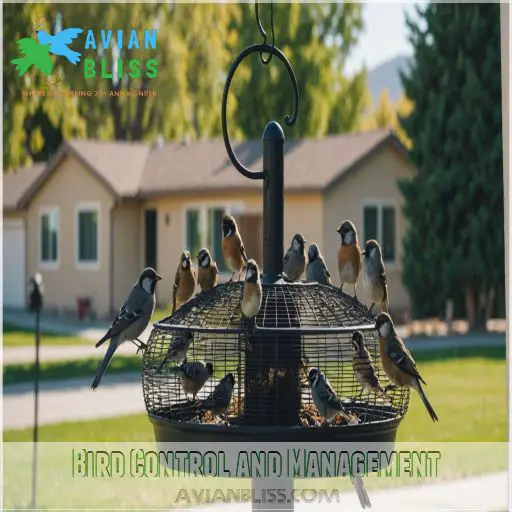 Bird Control and Management