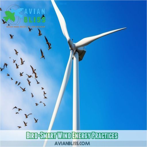 Bird-Smart Wind Energy Practices