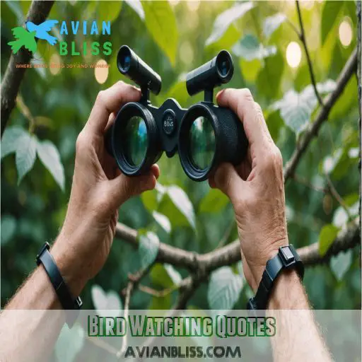 Bird Watching Quotes