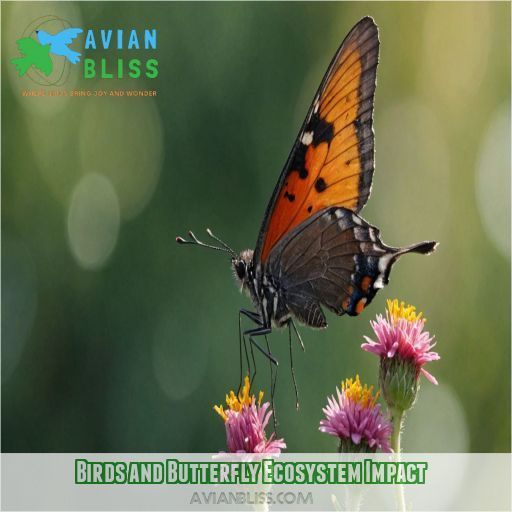 Birds and Butterfly Ecosystem Impact