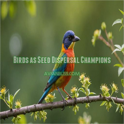 Birds as Seed Dispersal Champions