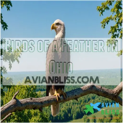 Birds of a Feather in Ohio