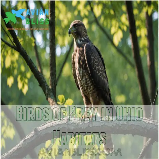 Birds of Prey in Ohio Habitats