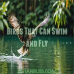 Birds That Can Swim and Fly