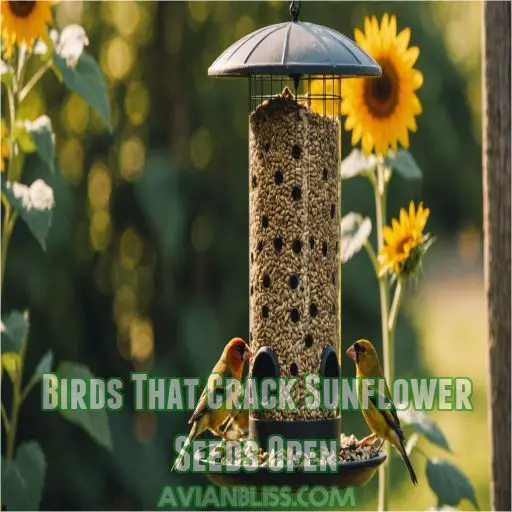 Birds That Crack Sunflower Seeds Open