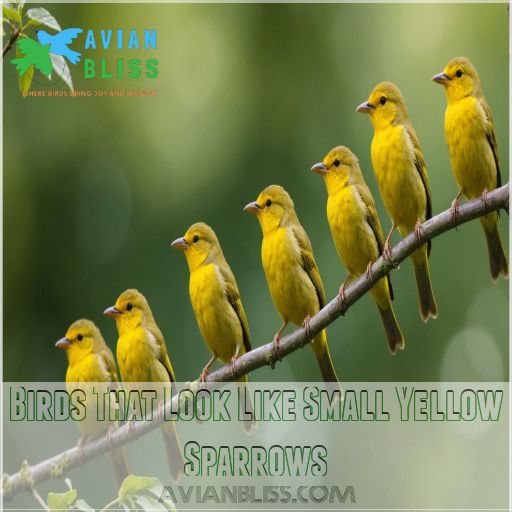 Birds That Look Like Small Yellow Sparrows