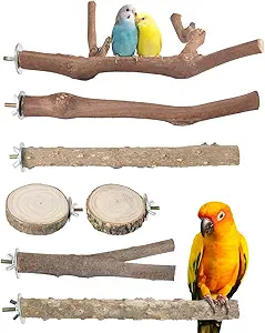 Bissap 7PCS Bird Perch Stand,