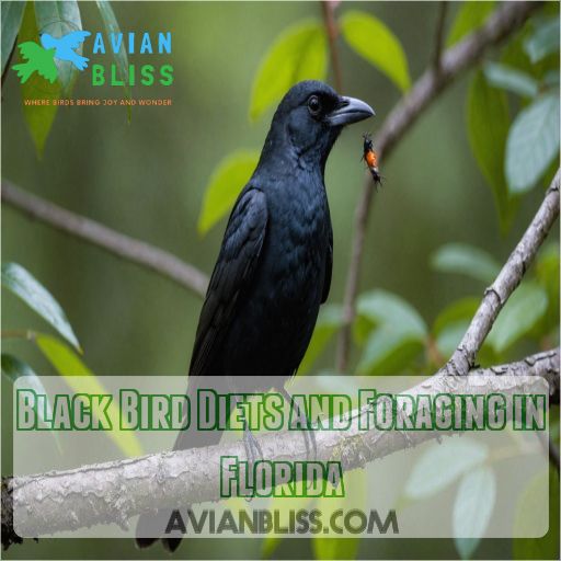 Black Bird Diets and Foraging in Florida