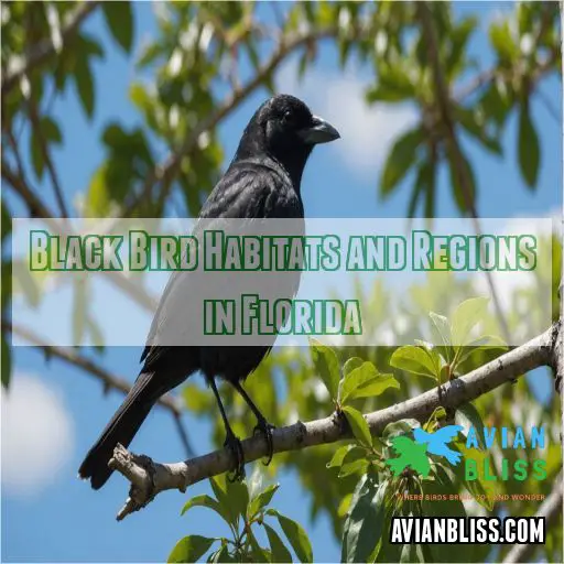 Black Bird Habitats and Regions in Florida