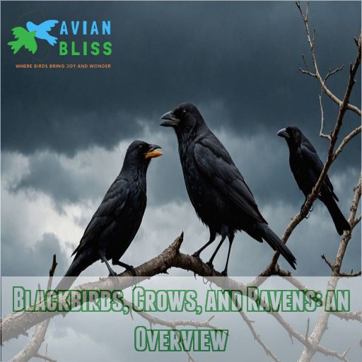 Blackbirds, Crows, and Ravens: an Overview