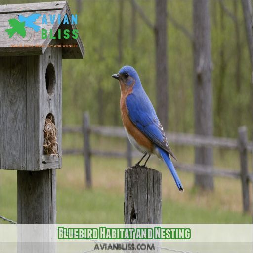 Bluebird Habitat and Nesting