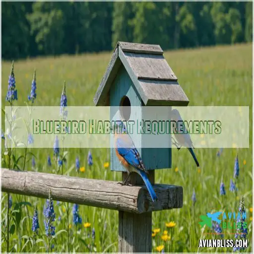 Bluebird Habitat Requirements