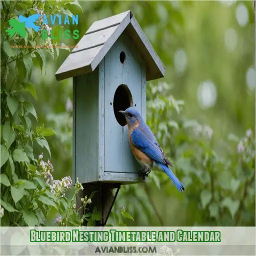 Bluebird Nesting Timetable and Calendar