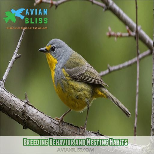 Breeding Behavior and Nesting Habits