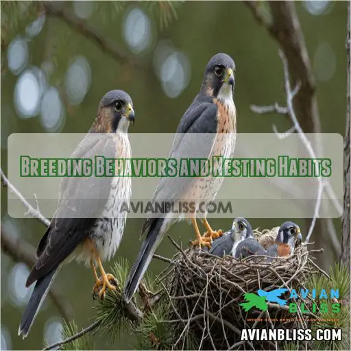 Breeding Behaviors and Nesting Habits