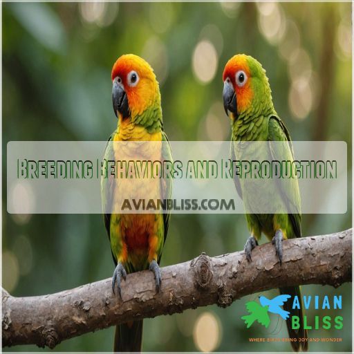 Breeding Behaviors and Reproduction