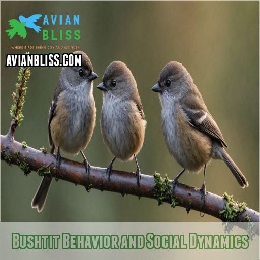 Bushtit: Tiny Acrobats of the Bird World - 8 Surprising Facts!