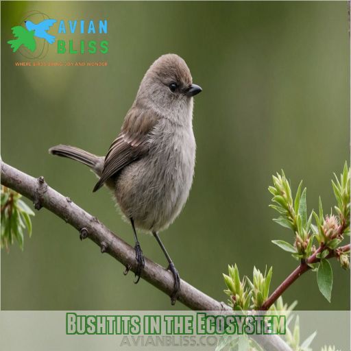 Bushtits in the Ecosystem