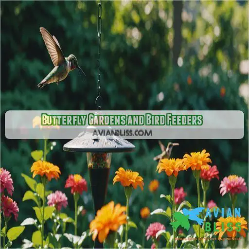 Butterfly Gardens and Bird Feeders