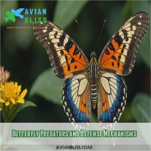 Butterfly Predators and Defense Mechanisms