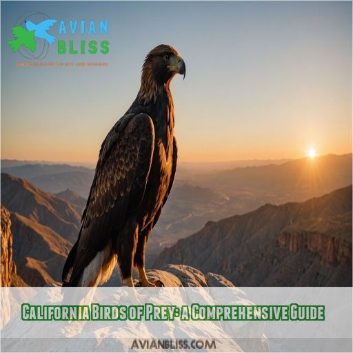 California Birds of Prey: a Comprehensive Guide