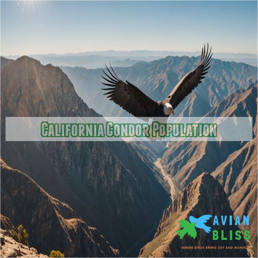 California Condor Population