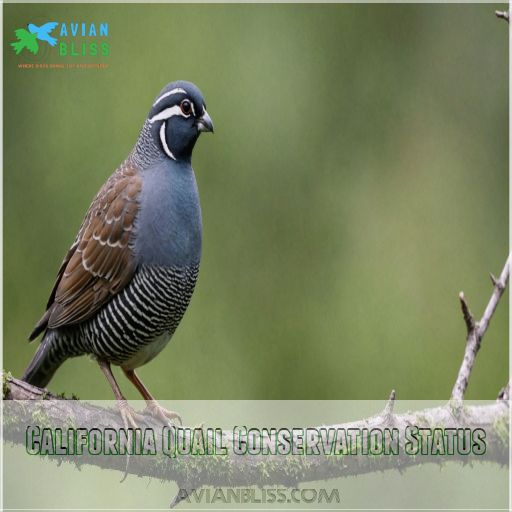 California Quail Conservation Status