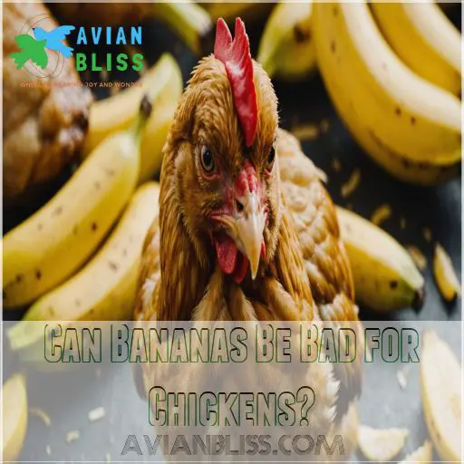 Can Bananas Be Bad for Chickens