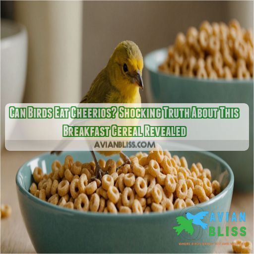 can birds eat cheerios